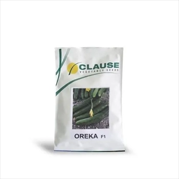 فروش بذر خیار اورکا کلوز ( OREKA )
