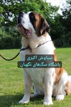 فروش سگ سنت برنارد نگهبان اصیل و گله دار