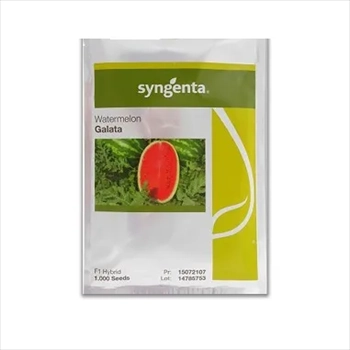 بذر هندوانه گالاتا سینجینتا سوئیس ( پرفروش )