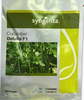  بذر خیار گلخانه ای دیلاکس سینجنتا