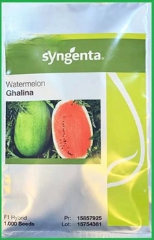 فروش بذر هندوانه گالینا سینجینتا سوئیس