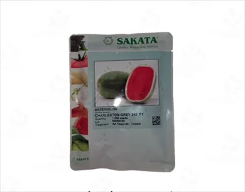 عرضه و فروش بذر هندوانه ساکاتا روبی
