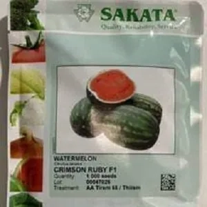 بذر هندوانه توپی اسکاتا