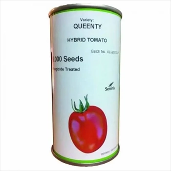 فروش بذر گوجه کوانتی