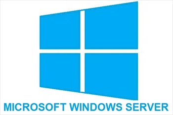 Microsoft Windows Server 2022,2019,2016,2012