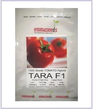 فروش بذر گوجه فرنگی تارا TARA F1