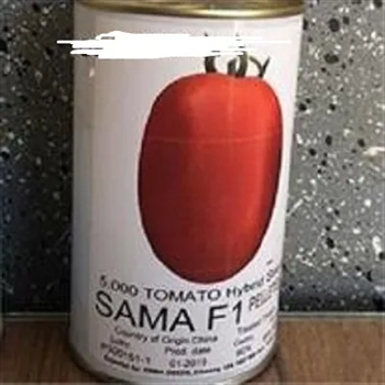 فروش بذر گوجه سما 