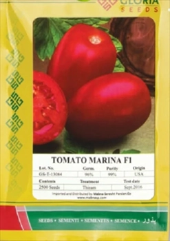  بذر گوجه مارینا گلوریا
