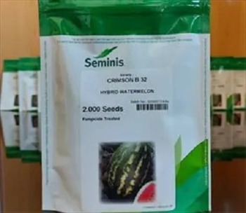 فروش بذر هندوانه ۳۲B 