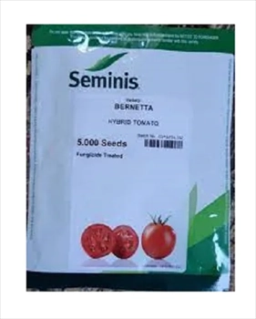 فروش بذر گوجه فرنگی برنتا سمینیس
