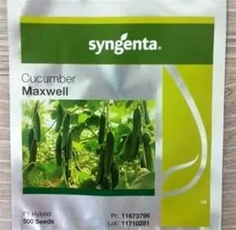 فروش بذر خیار گلخانه ای مکسول Maxwell