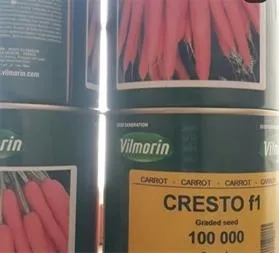 فروش  بذر هویج کریستو