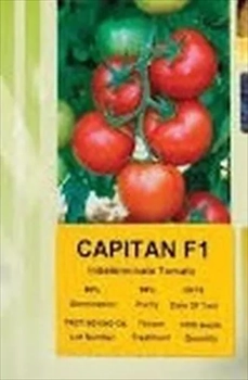 بذر گوجه فرنگی کاپیتان