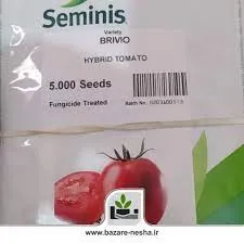 فروش بذر گوجه بریویو سمینیس