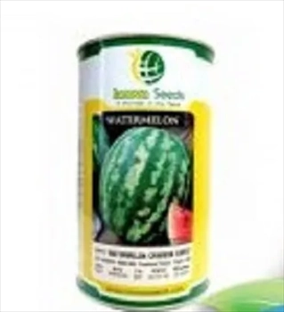 فروش بذر هندوانه هیبرید استار پلاس
