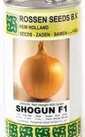 فروش بذر پیاز شوگان shogun