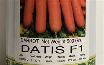 قیمت فروش  بذر هویج داتیس