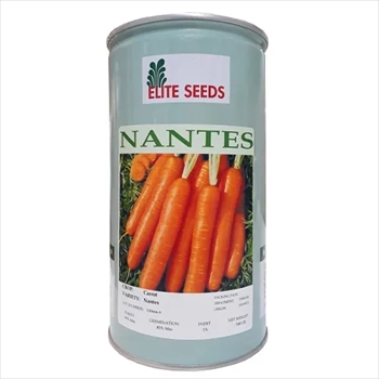 فروش بذر هویج الیت آمریکایی نانتس 