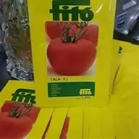 فروش بذر گوجه طلا 