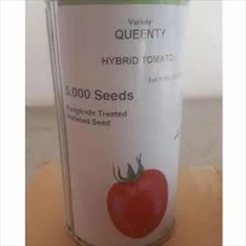  بذر گوجه فرنگی کوئنتی سیمینس