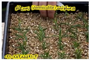 ورميكوليت (Vermiculite) 