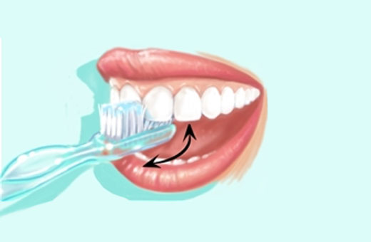 راه امن و طبیعی برای حفظ سلامت دندان‌ها