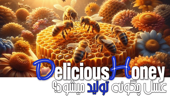 عسل چگونه تولید میشود؟ (1404)