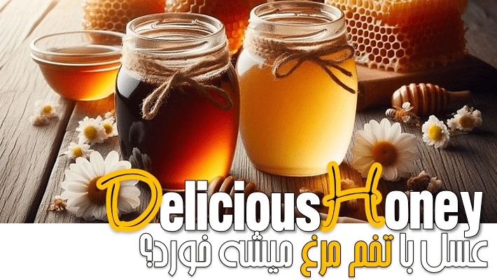 عسل با تخم مرغ میشه خورد؟ (1405)