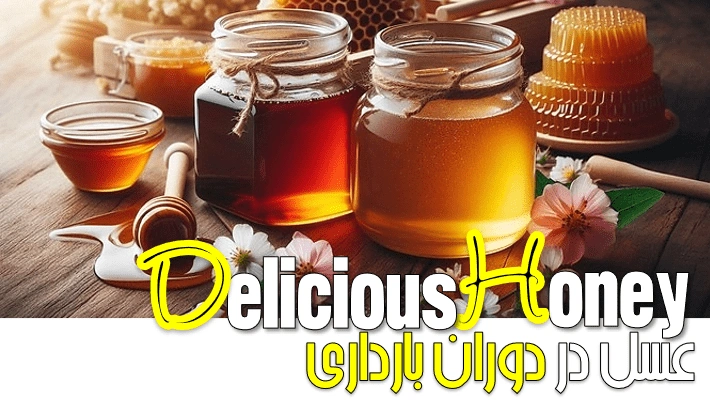 عسل در دوران بارداری راهنمای کامل (1405)