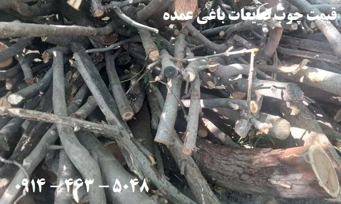 قیمت چوب ضایعات باغی عمده