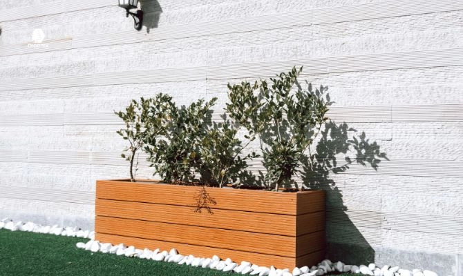 فلاور باکس تراس