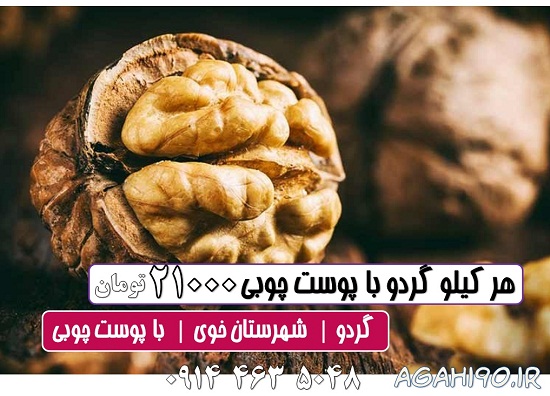 گردو,فروش گردو گردو,فروش گردو