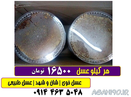 عسل کوهی