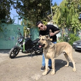 تصویر پروفایل